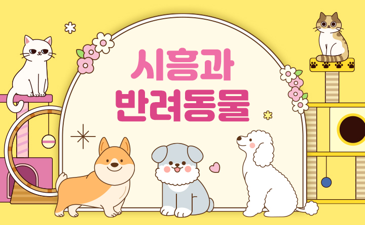 시흥과 반려동물