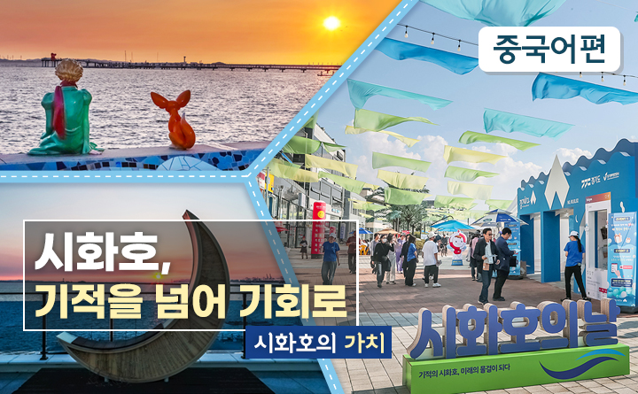 시화호의 가치(중국어편)